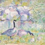 Geese And Goslings