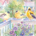 Goldfinches